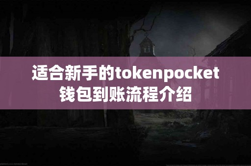 适合新手的tokenpocket钱包到账流程介绍