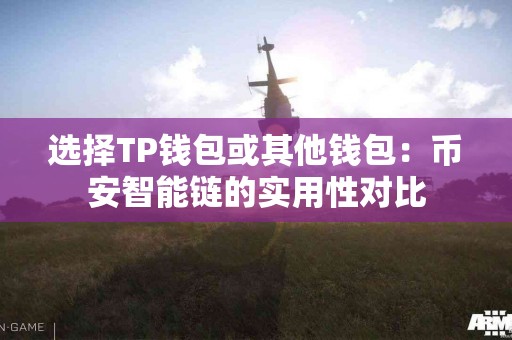 选择TP钱包或其他钱包：币安智能链的实用性对比